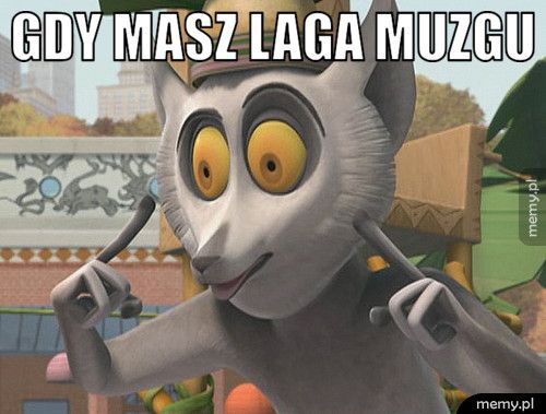 Gdy masz laga muzgu 