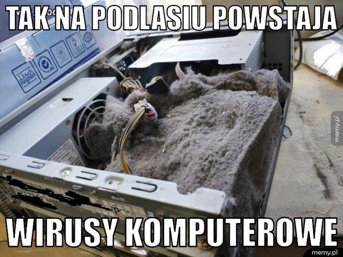 Tak na Podlasiu powstaja wirusy komputerowe