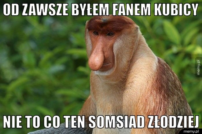 od zawsze byłem fanem kubicy nie to co ten somsiad złodziej