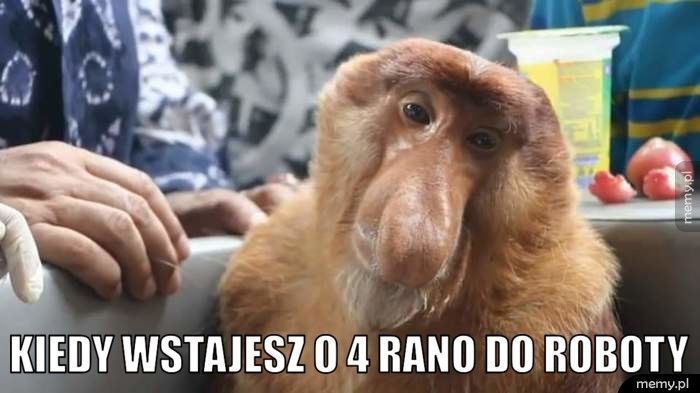  Kiedy wstajesz o 4 rano do roboty