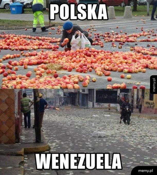 Polska vs Wenezuela