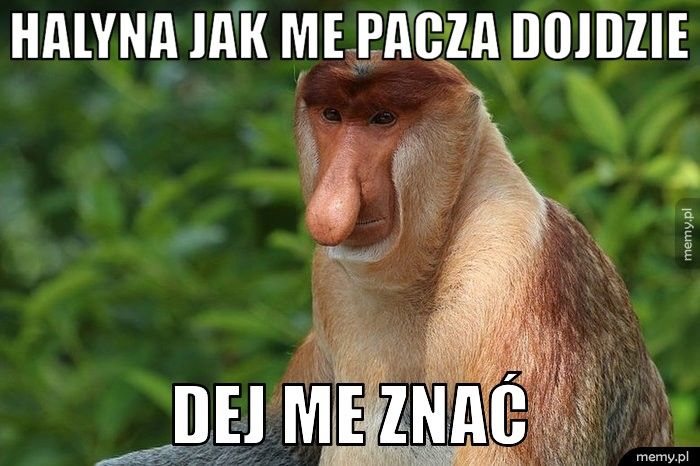 Halyna jak me pacza dojdzie Dej me znać