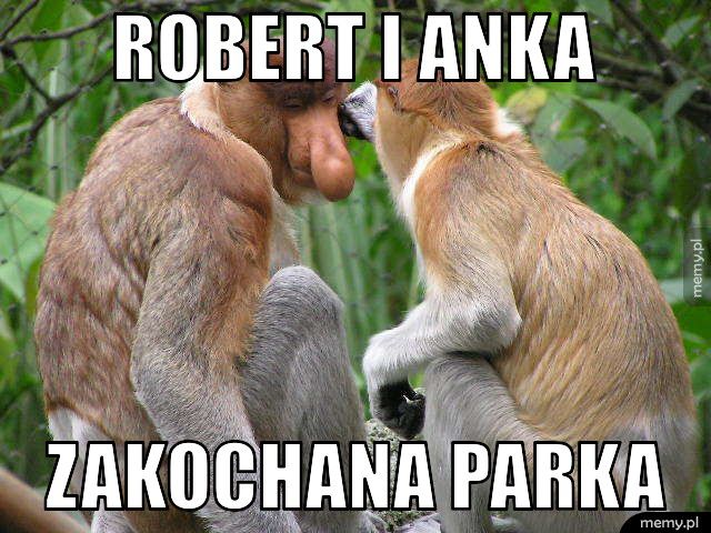 ROBERT I ANKA ZAKOCHANA PARKA 