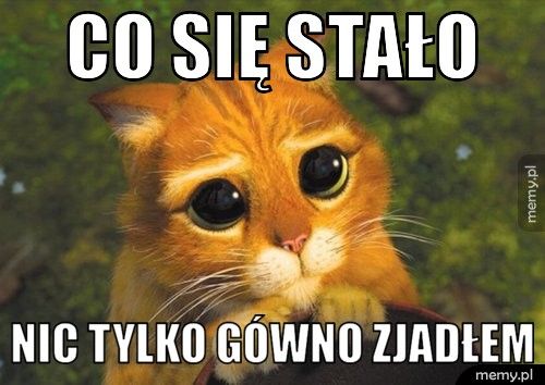 co się stało nic tylko gówno zjadłem