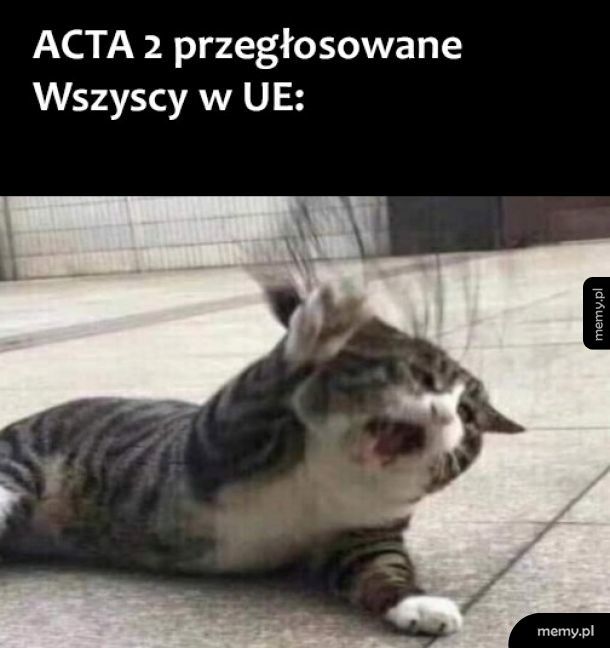 ACTA 2
