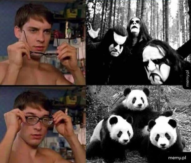 Panda band