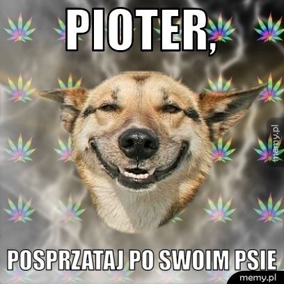 Pioter,  Posprzataj po swoim psie