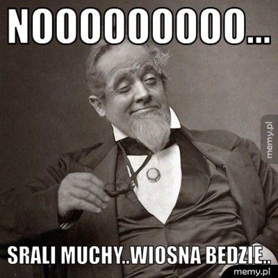Nooooooooo... Srali muchy..Wiosna bedzie..