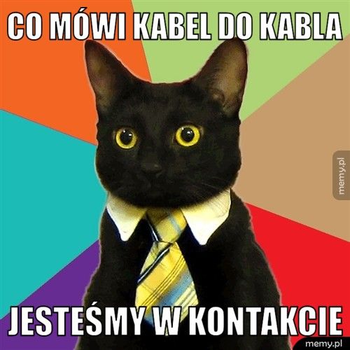 Co mówi kabel do kabla JESTEŚMY W KONTAKCIE