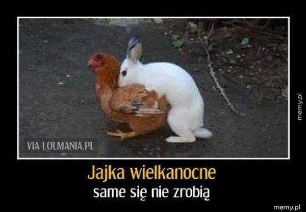 swieta