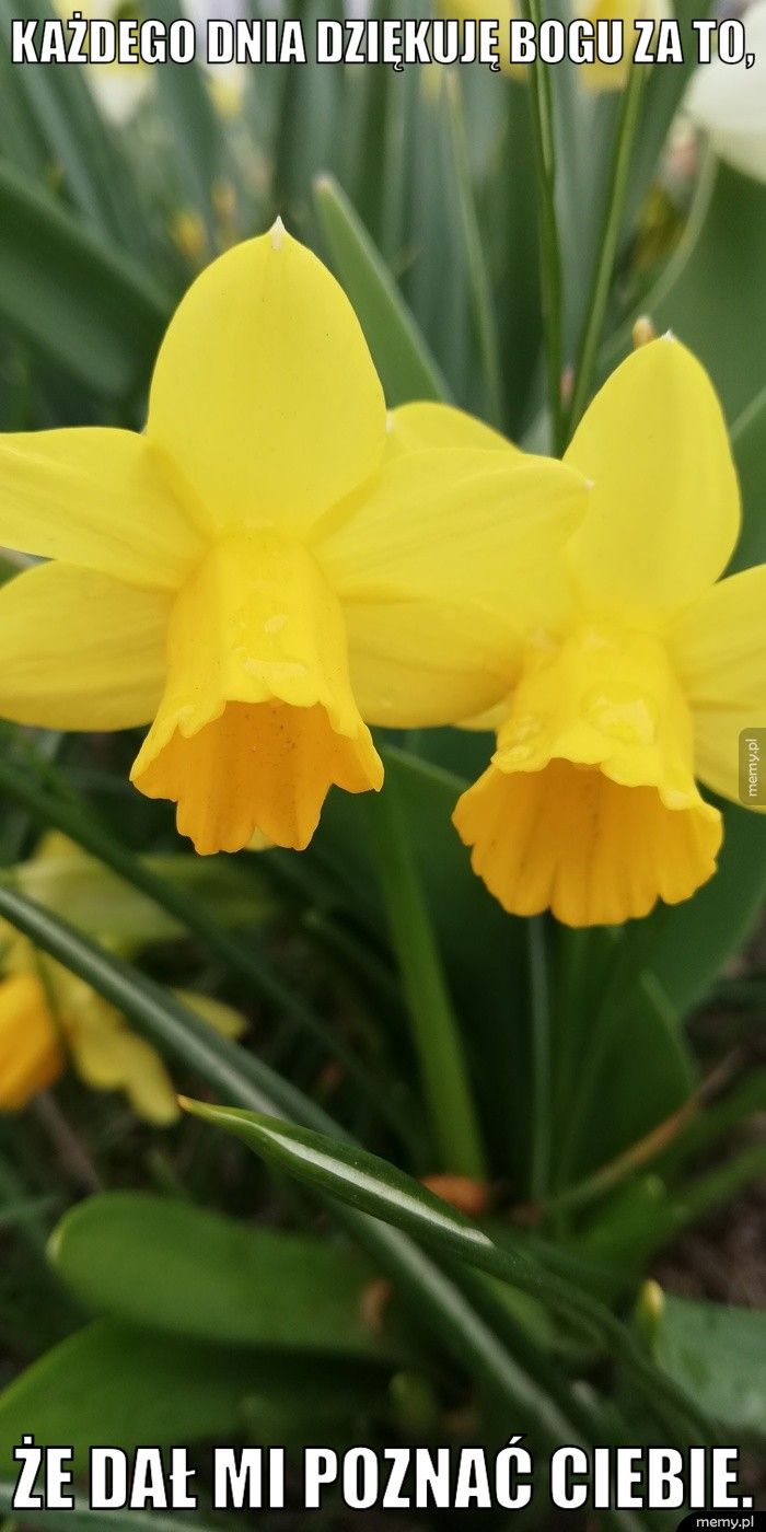 Każdego dnia dziękuję Bogu za to,  że dał mi poznać Ciebie. 