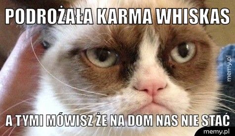 PODROŻAŁA KARMA WHISKAS A TYMI MÓWISZ ŻE NA DOM NAS NIE STAĆ