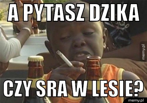 A pytasz dzika Czy sra w lesie?