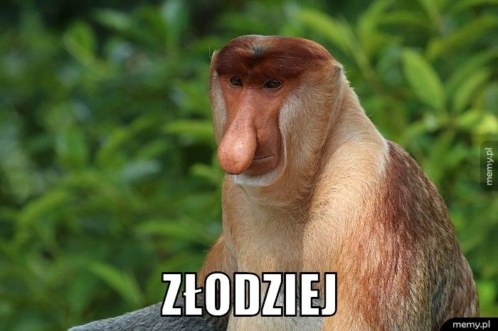  Złodziej