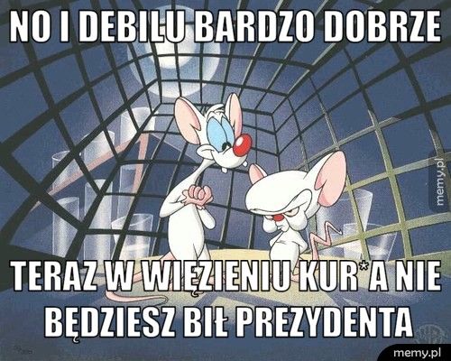 NO I DEBILU BARDZO DOBRZE TERAZ W WIĘZIENIU KUR*A NIE BĘDZIESZ BIŁ PREZYDENTA