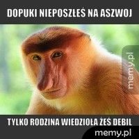 DOPUKI NIEPOSZŁEŚ NA ASZWOJ TYLKO RODZINA WIEDZIOŁA ŻEŚ DEBIL