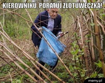 Kierowniku, poratuj złotuweczką! 