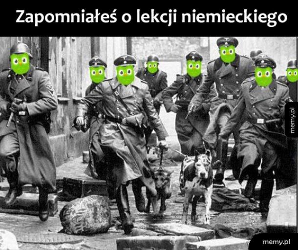 Duolingo nadciąga - Memy.pl
