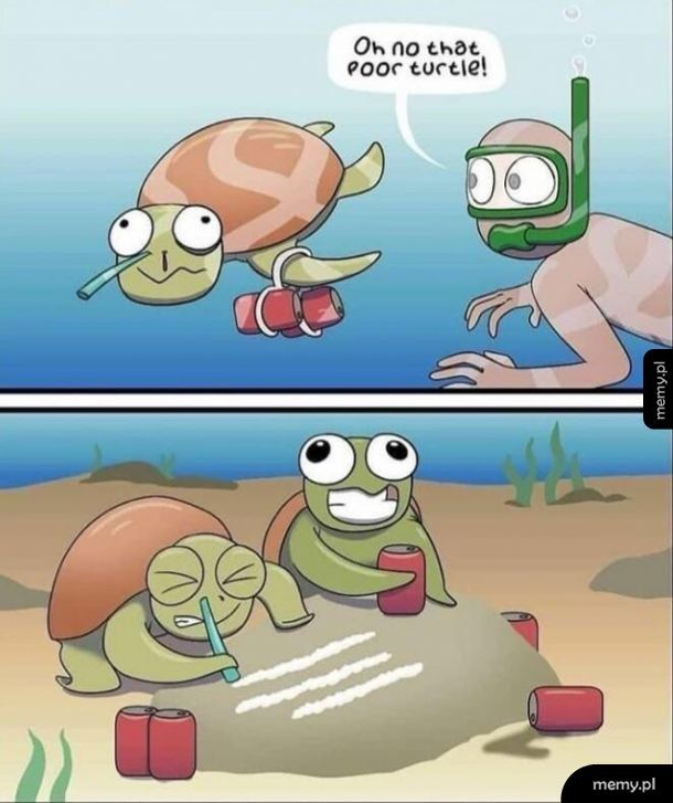 Biedny żółw