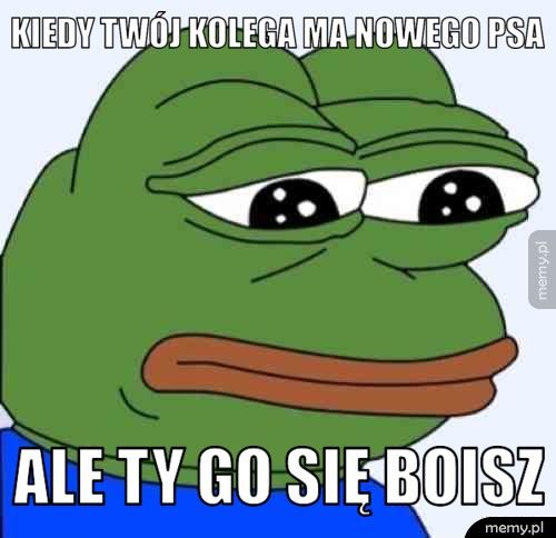 Kiedy twój kolega ma nowego psa Ale ty go się boisz