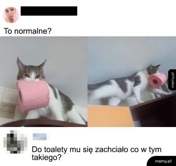 Normalka