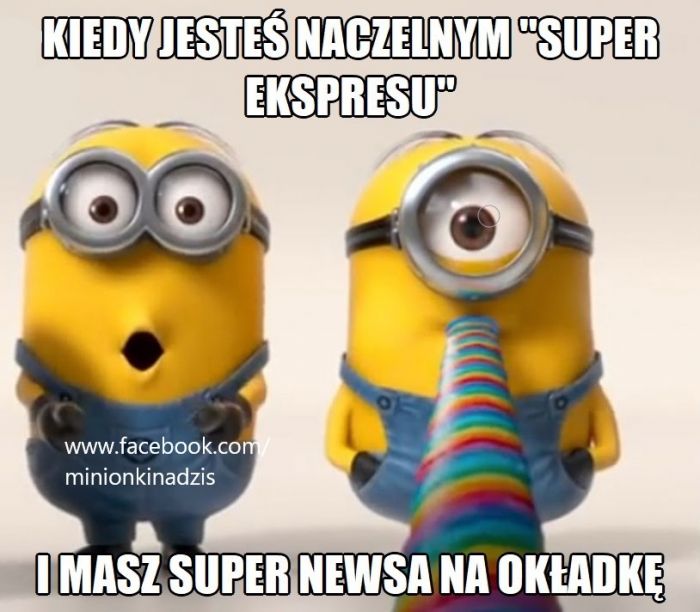 Minionki na dziś