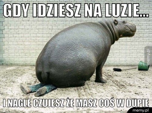 Gdy idziesz na luzie...  I nagle czujesz że masz coś w dupie