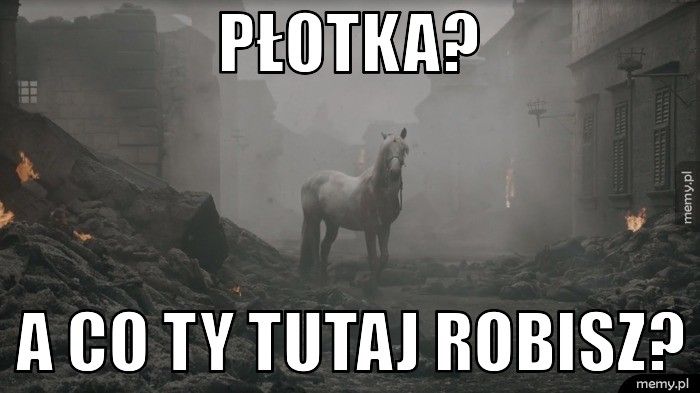 płotka? a co ty tutaj robisz?
