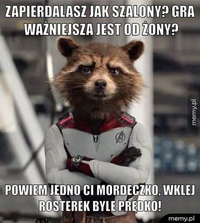 Zapierdalasz jak szalony? Gra ważniejsza jest od żony? Powiem jedno ci mordeczko, wklej rosterek byle prędko! 