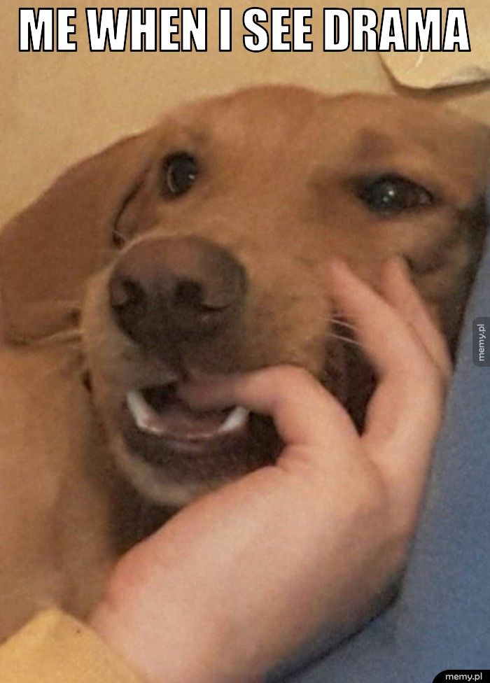 ME WHEN I SEE DRAMA 