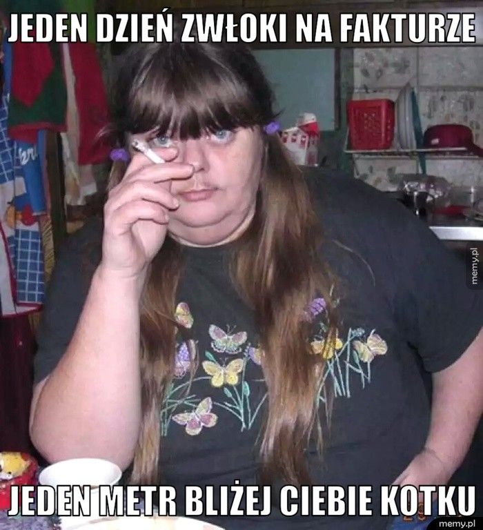 Jeden dzień zwłoki na fakturze Jeden metr bliżej Ciebie kotku