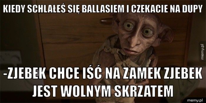 kiedy schlałeś się ballasiem i czekacie na dupy -zjebek chce iść na zamek zjebek jest wolnym skrzatem 