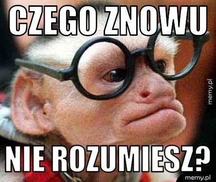 CZEGO ZNOWU NIE ROZUMIESZ? 