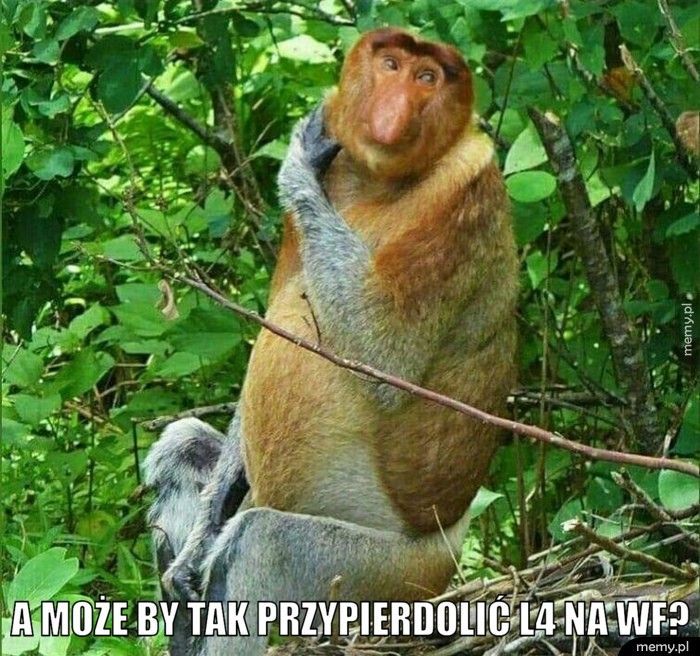  A może by tak przypierdolić L4 na wf?