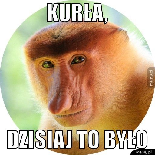 kurła, dzisiaj to było