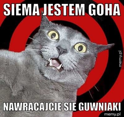 siema jestem goha nawracajcie sie guwniaki 