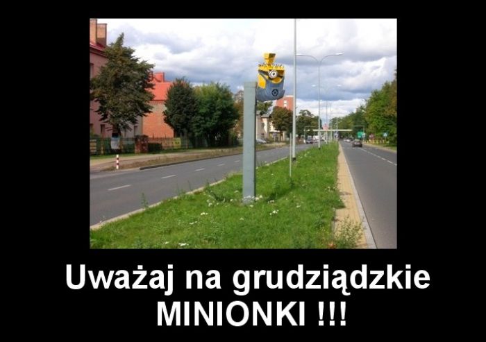 minionek