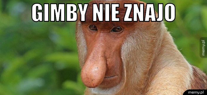 Gimby nie znajo 