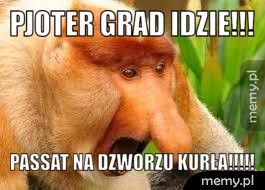 Pjoter grad idzie!!!  Passat na dzworzu kurła!!!!!