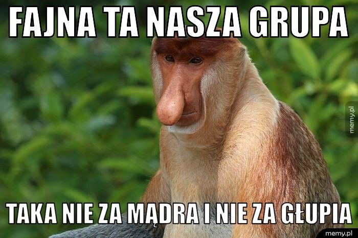 FAJNA TA NASZA GRUPA TAKA NIE ZA MĄDRA I NIE ZA GŁUPIA