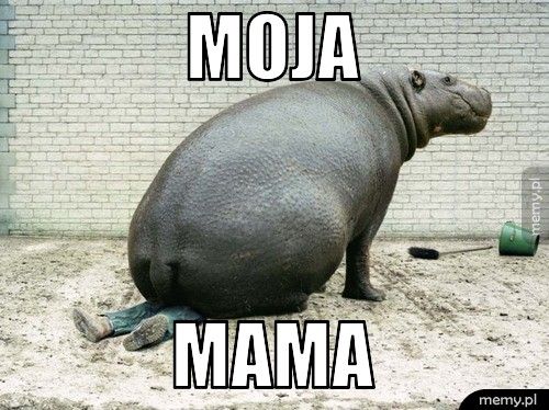 moja mama