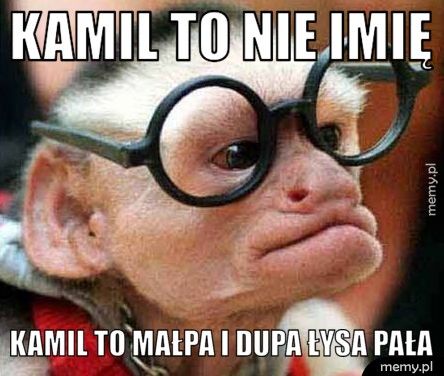 Kamil to nie imię Kamil to małpa i dupa łysa pała