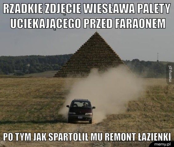 rzadkie zdjęcie wiesława palety uciekającego przed faraonem po tym jak spartolił mu remont łazienki