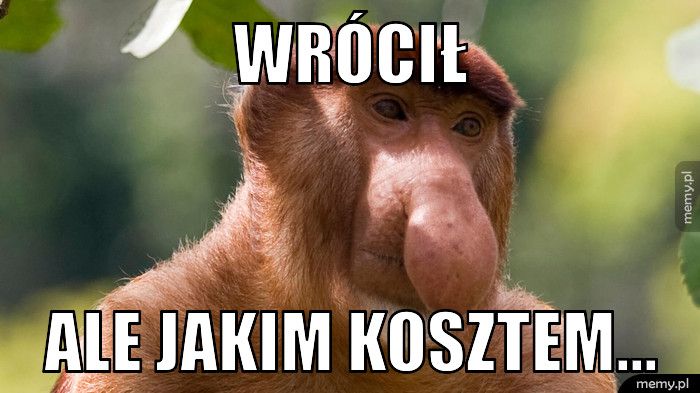 wrócił ale jakim kosztem...