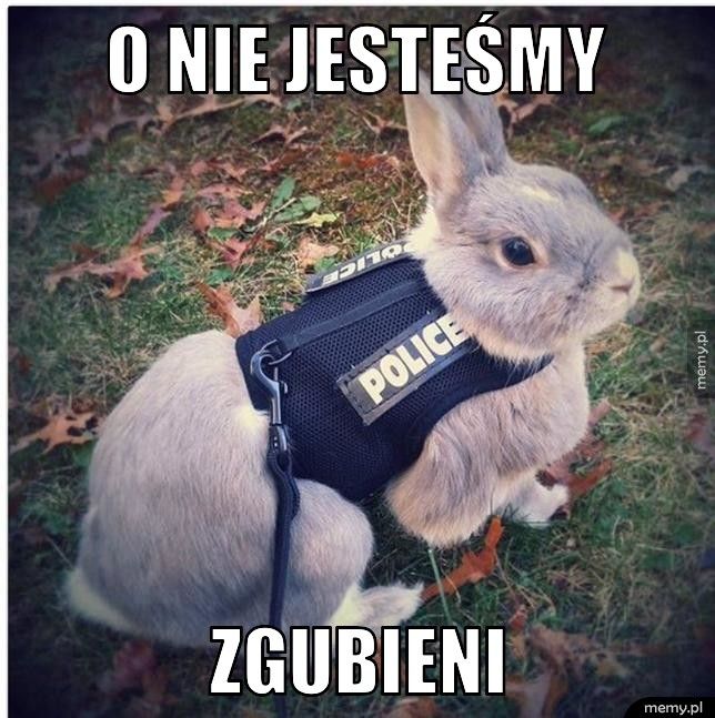 O NIE JESTEŚMY ZGUBIENI