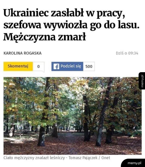 W Polsce jak w lesie