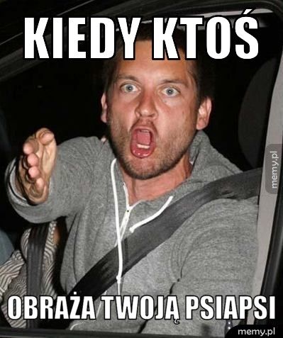 KIEDY ktoś obraża twoją psiapsi