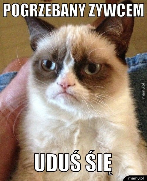 Pogrzebany zywcem Uduś śię