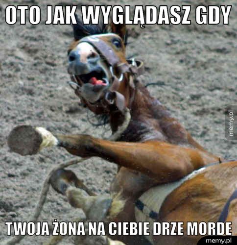 OTO JAK WYGLĄDASZ GDY TWOJA ŻONA NA CIEBIE DRZE MORDE