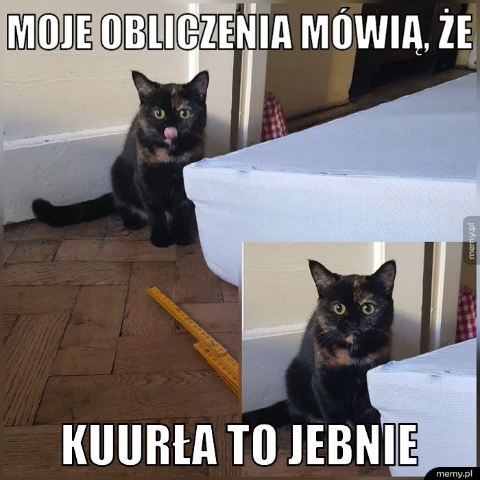 Moje obliczenia mówią, że Kuurła to jebnie